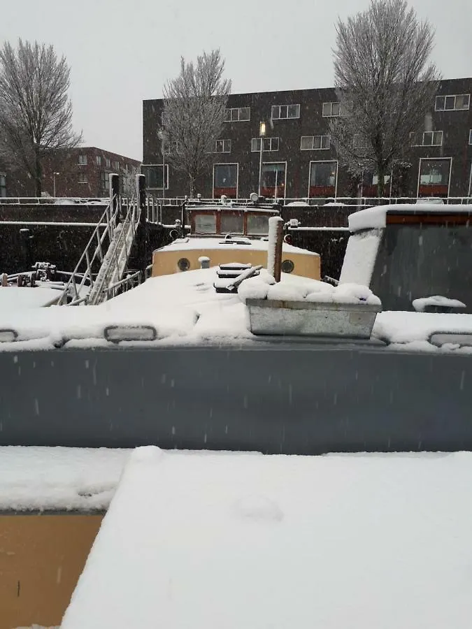 Botel B&B Unitas Rotterdam Paesi Bassi
